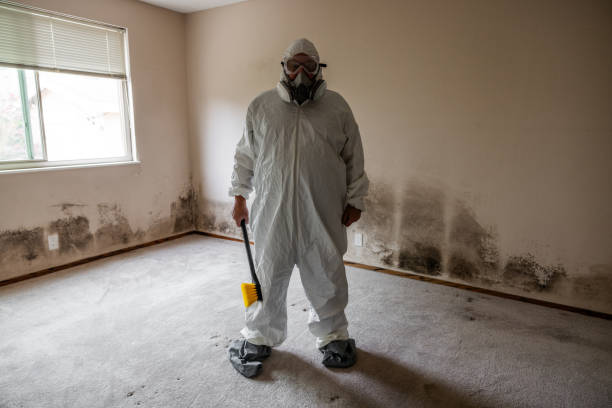 Best Commercial Mold Removal  in Foley, AL